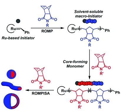 Illustration of the processes in ROMPISA